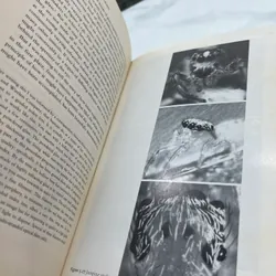 Climbing mount improbable Richard Dawkins 562127