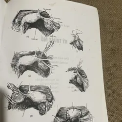 Kĩ thuật mổ sách y - 350 trang - GS. ĐẶNG HANH ĐỆ 731108