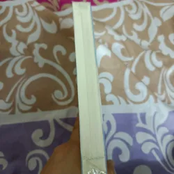 TẬP 2 BÍ MẬT NƠI GÓC TỐI - NHĨ ĐÔNG THỐ TỬ  1004066