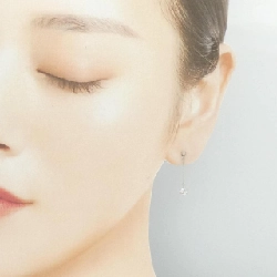 PT900 Bông tai kim cương 0.30CT - Hàng hiệu Chính hãng 868063