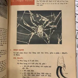 VẠN VẬT HỌC LỚP BẢY - BAN GIÁO SƯ ALPHA 747452