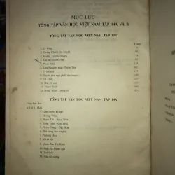 Tổng tập văn học Việt Nam 14B 780146