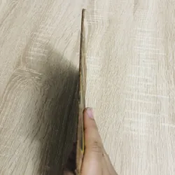 ĐẤT PHÈN Ở ĐỒNG BẰNG SÔNG CỬU LONG  956939