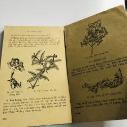 PHÂN BIỆT VÀ CHỐNG NHẦM LẪN DƯỢC LIỆU 1981 796540