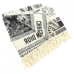 クリスチャンディオール CHRISTIAN DIOR 91DFI140INOE STOLE - Hàng hiệu Authentic