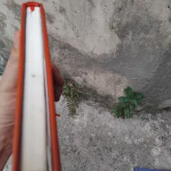 Phép tính của một nho sỹ của Trần Vũ  1004687