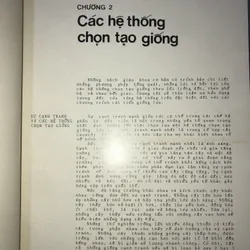 Cải tiến giống lúa  606080