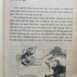 TIN HỌC(từ bộ sách 3 vạn câu hỏi vì sao Tin Học) 531307