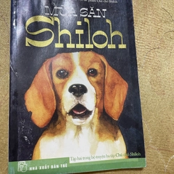 Combo CHÚ CHÓ SHILOH - Phyllis Reynolds Naylor 474074