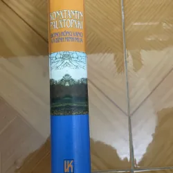 Bông hồng vàng và Bình minh mưa 1010894