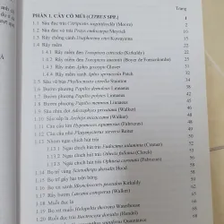 CÔN TRÙNG NHỆN GÂY HẠI CÂY ĂN TRÁI....  799628