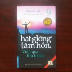 [Sách Kỹ Năng Sống] Hạt Giống Tâm Hồn - Vượt Qua Thử Thách 
