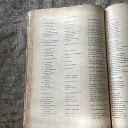 Từ điển thuật ngữ xuất bản Nga - Anh - Việt 599047