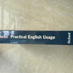 Pratical English Usage 1026863