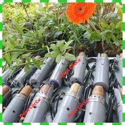 Máy Nạo Dừa Cầm Tay Bằng Điện 220v Mini | Nạo Rau Củ , Khoai, Sả | Chỉnh Công Suất 6 Cấp 751490