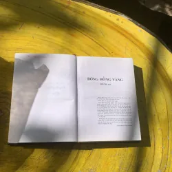 BÔNG HỒNG VÀNG & BÌNH MINH MƯA - K. PAUTOPXKI 783387