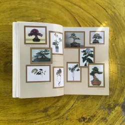 KIỆT TÁC BONSAI VIỆT NAM VÀ THẾ GIỚI- ĐỨC THÀNH biên soạn 1022452