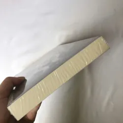 Giải Mã Tâm Thần Phân Liệt - Robert Kolker 796981