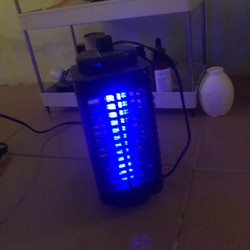 Đèn bắt muỗi UV light