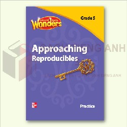 Sách Tiếng Anh - Reading Wonders - Practice Approaching Reproducibles - Grade 1,2,3,4,5,6 21794