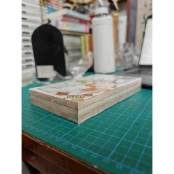 Truyện Tranh Những Ngày Tươi Đẹp 497102