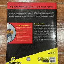 Content Marketing for Dummies  (6) 733484
