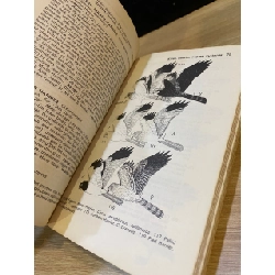 A Field Guide to the Birds of South-East Asia 533827