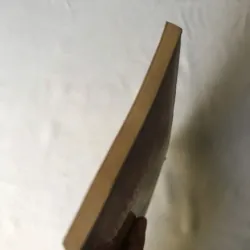 Hoàng Nê Phố - Tàn Tuyết 926499