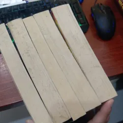 Percy Jackson and the Olympians  1020481