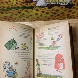 A Book of Russian Idioms Illustrated - M.I. Dubrovin 542014