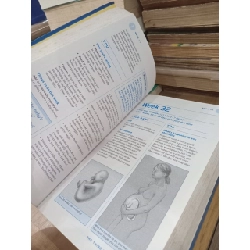 Great Expectations: Your all-in-one resource for pregnancy & childbirth - 1022655