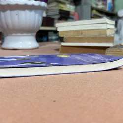 Bồ câu không đưa thu 🌊 592184