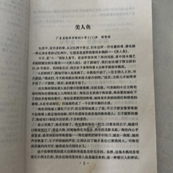 五星作文 (Ngoại văn) 524837