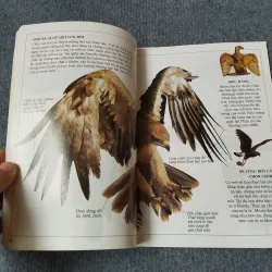 ĐẠI BÀNG - TỦ SÁCH KIẾN THỨC THẾ HỆ MỚI 720727