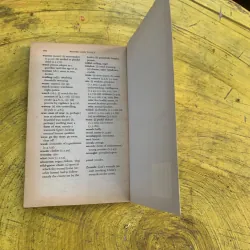 ROMEO AND JULIET - WILLIAM SHAKESPEARE  763254