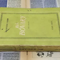 VH cổ điển Pháp: BÀ BOVARY 727146