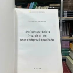 GỐM SỨ TRONG NĂM CON TÀU CỔ Ở VÙNG BIỂN VIỆT NAM 558256