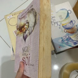 Ngủ cùng sói - Diệp Lạc Vô Tâm 75063