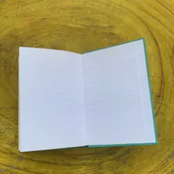 THỜI XA VẮNG - LÊ LỰU  783863