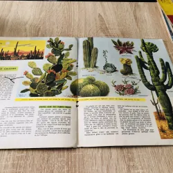 TẠP CHÍ TOUT L’UNIVERS – 1962 (12) 1017791