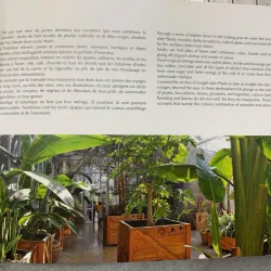 TERRA BOTANICA (VÙNG ĐẤT THỰC VẬT)  - THIERRY HUAU 752210