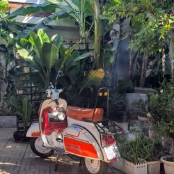 Xe Vespa 150cc loại 2 thì  271161