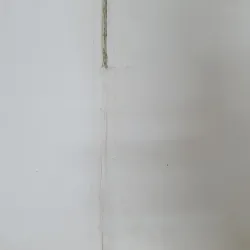 ATLAS GIẢI PHẪU NGƯỜI  761036