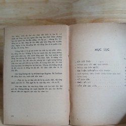 Đốm Lửa Lạc Loài - Yusunari Kawabata 354566
