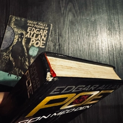 Combo 2 tác phẩm Edgar Allan Poe 447137