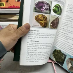 Nghệ thuật thưởng ngoạn đá cảnh 971284