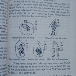 HUỲNH ĐÌNH KINH - ĐẠO GIÁO  497073