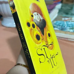 Vương quốc sư tử 🌊 692800