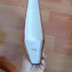 Hạt giống Đỏ  448259
