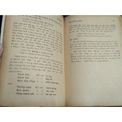 Luận đề về phan chu trinh - Nguyễn Duy Diễn & Bằng Phong 538034